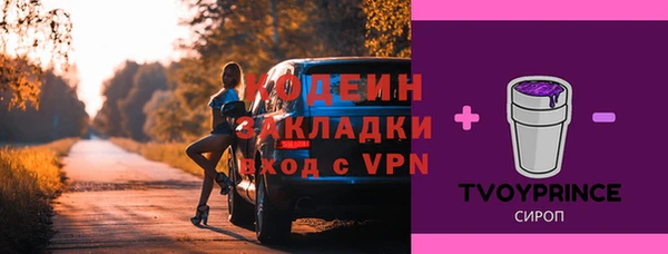 крисы Богородск
