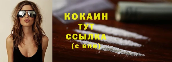 крисы Богородск