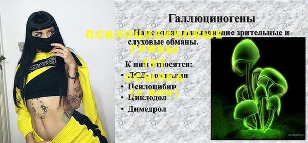 крисы Богородск