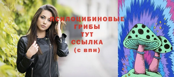 шишки Богородицк
