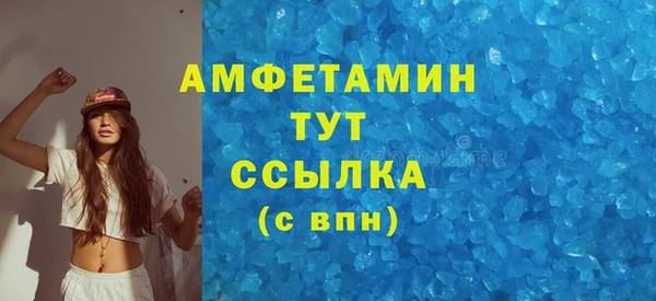 соль ск Богданович