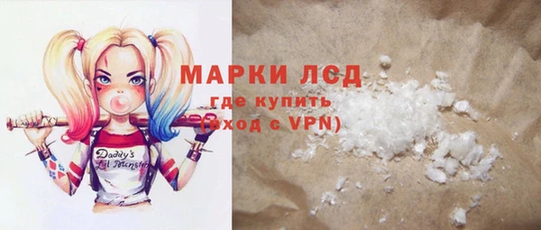 прущие грибы Инсар