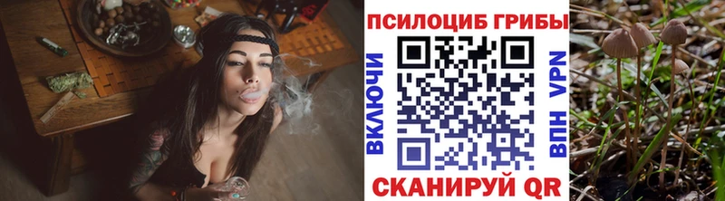 Псилоцибиновые грибы Magic Shrooms  сайты даркнета формула  Бугульма  магазин  наркотиков 